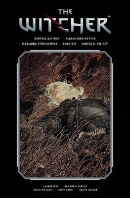 The Witcher Library Edition Volume 2 von Motyka, Aleksandra [gebunden]