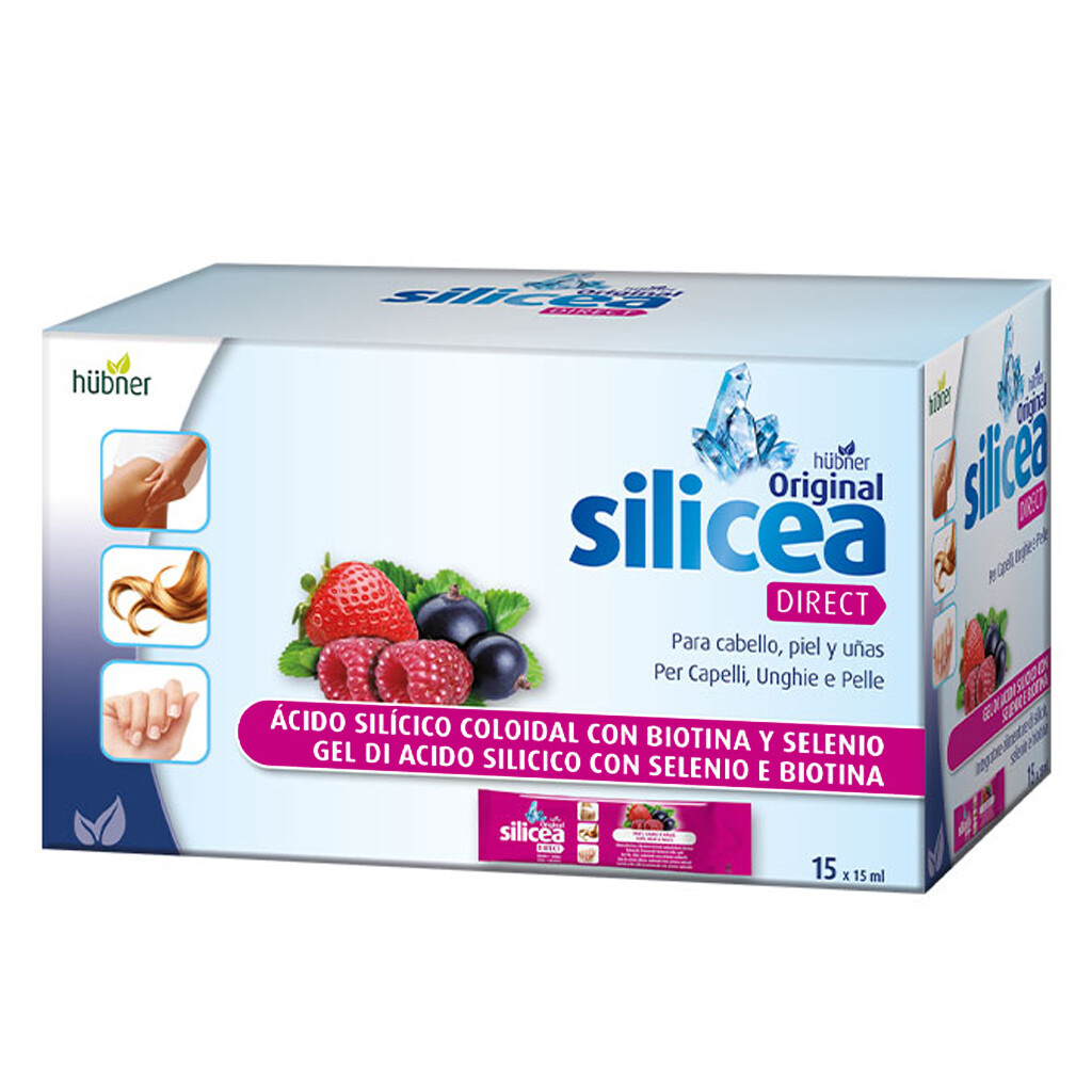 HUBNER ORIGINAL SILICEA DIRECT 15 BUSTINE