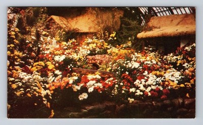 Pittsburgh PA-Pennsylvania, Phipps Conservatory, Flower Show Vintage Postcard