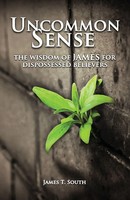 James T. South | Uncommon Sense | Taschenbuch | Englisch (2014)