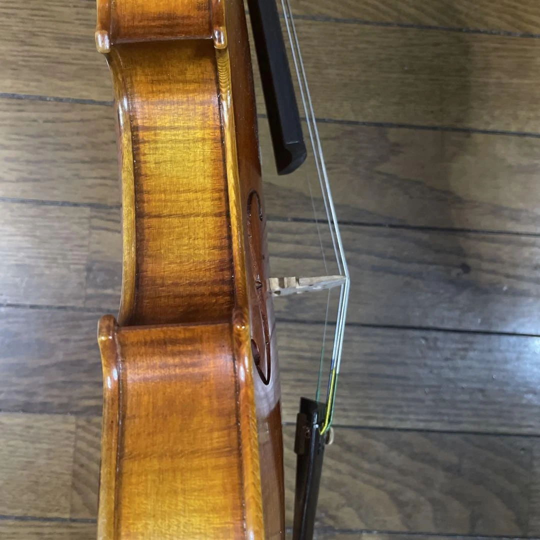 Franz Sandner 4/4 Violin 2003 with K. Holtz Bow Gig Case KUN Rest