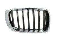 Blic 6502-07-00939944P Attrappe Gitter Rechts FüR BMW X3 X4 F25 F26