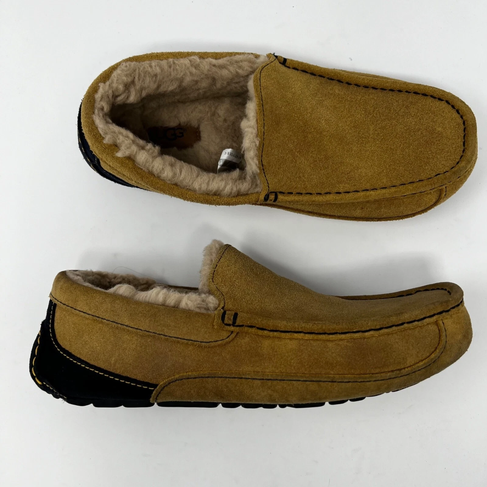 Pantofola UGG Ascot pelle scamosciata castagno taglia 9