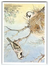 Desert Sparrow Birds Nest Vintage Art Postcard V.A. Gorbatov 1989
