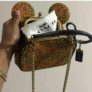 Coach Kisslock Crossbody | eBay
