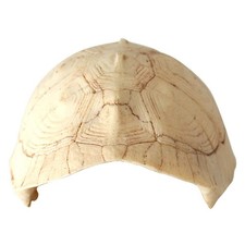Turtle Shell Climbing Platform Aquarium D Cor Reptile Hideout Terrarium Cave ...