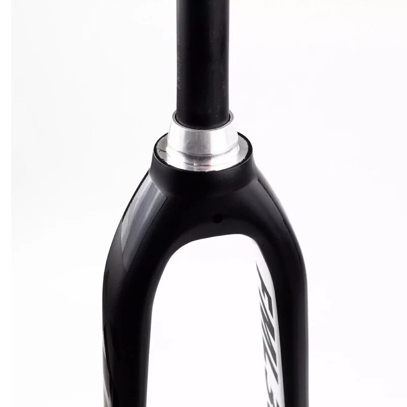 Road bike fork, Rim/Disc兼用、新品 s-l1200.jpg
