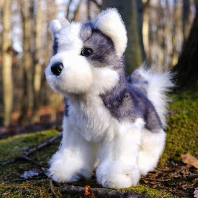 #ad ✤ New DOUGLAS CUDDLE TOY Stuffed Plush SIBERIAN HUSKY Soft Dog Plushie Blaze $17.95