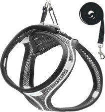 Pettorina Cane Taglia S H Riflettente Antifuga Imbottita + Guinzaglio Nero Mastr