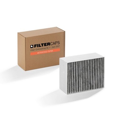 Bosch CleanAir Dunstabzugshauben-Filter 11033934 / DSZ5201 von FILTERCAPS