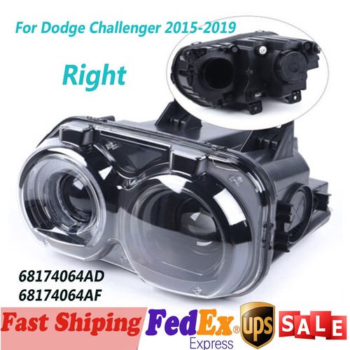 Right Passenger Side Headlamp Halogen Headlight For 2015~2019 Dodge 