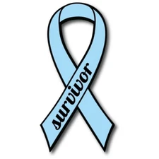 Aqua Prostate Cancer Survivor Ribbon Car Magnet Decal Heavy Duty 3.5" x 7"