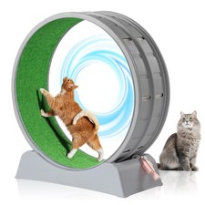 Gray Cat Exercise Wheel with Lock 35.4" Large Cat Treadmill Wheel for Indoor