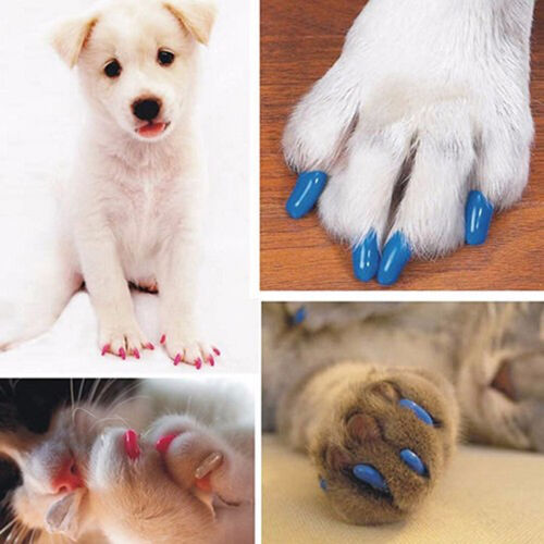 20PCS Pure Color Silicone Pet Dog Cat Kitten Paw Claw Control Sheath Nail Covers - Picture 1 of 26