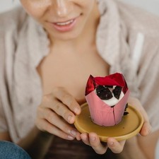 50 Pcs Mini Caissette Cupcake Tasses De Cuisson Moules À Cupcakes