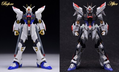 for MG 1/100 ZGMF-X20A Strike Freedom Fortune Meow s Studio Resin