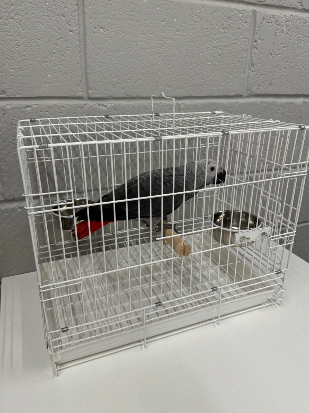 Parrot Supplies Travel Cage Holiday Cage, African Grey Travel Cage Amazon White,
Opens in a new wind