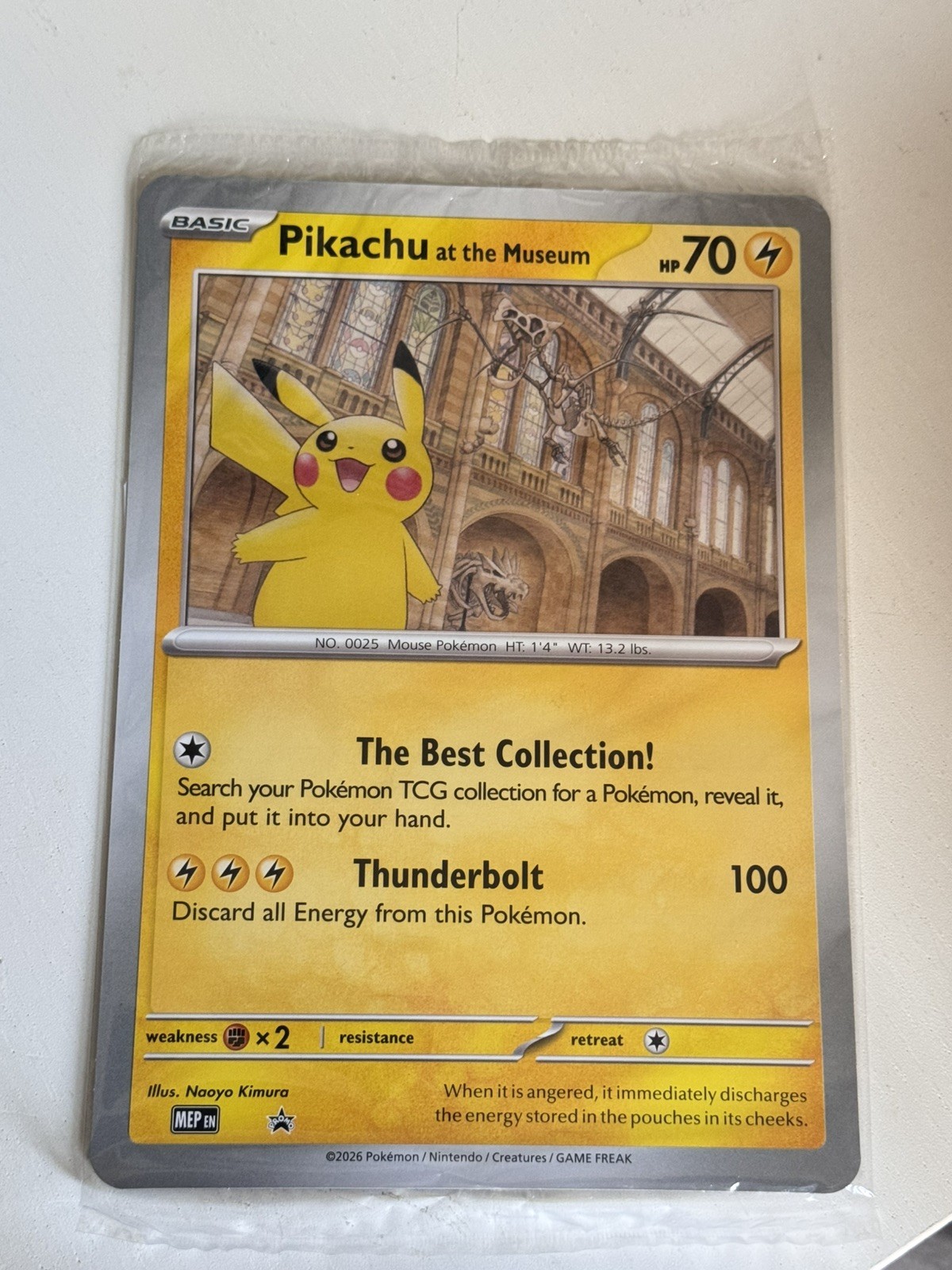 Pikachu At The Museum, Pokémon X Natural History Museum Jumbo Promo Card NEW GSP