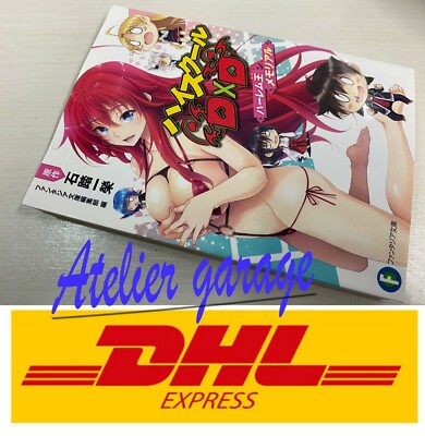 Brand New High School DxD Harlem King Memorial Fan Book Japanese Novel