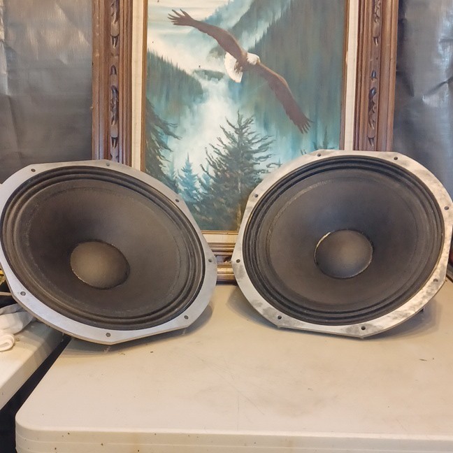 Peavey Scorpions 15" Speaker's