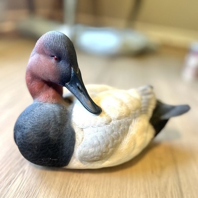 Ducks Unlimited #1 Canvasback Drake Full Size Decoy by Jett Brunet NIB