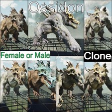 ASA PVE  ARK Survival Ascended Ossidon Clone