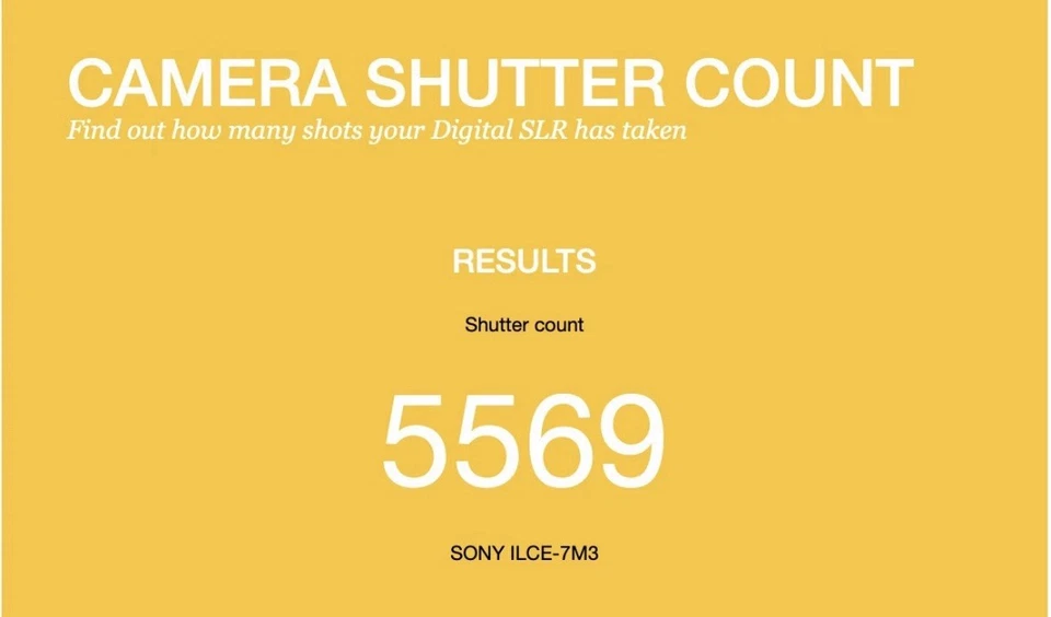 Sony Alpha 7 III, Foto 3 von 3