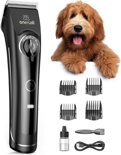 Best Poodle Grooming Tools: The Ultimate Guide 2025