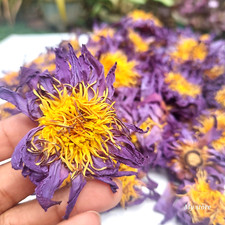 5Kg Dry Blue Lotus Flower Egyptian Lotus 100 Organic Flower Natural Pure Ceylon