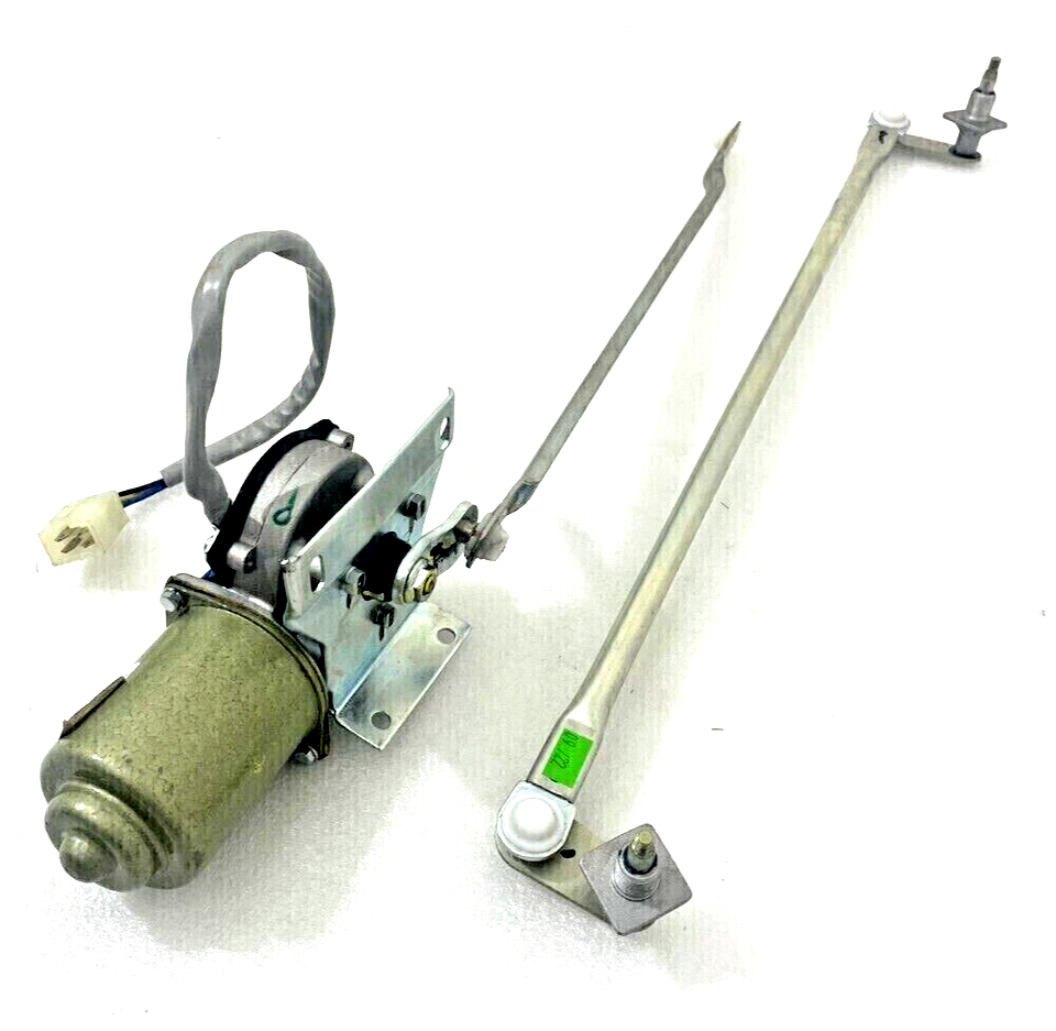 ウンベラータ 楽天市場】【水耕栽培】 ウンベラータ（自然樹形） （水位計付き）灰色