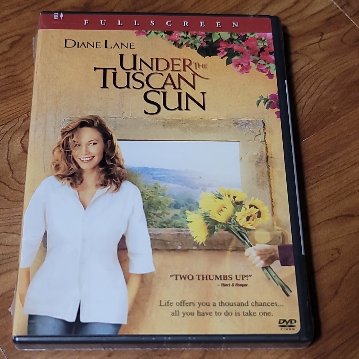 Under The Tuscan Sun Diane Lane