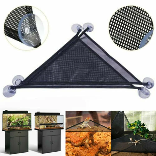 Articoli neri per rettili