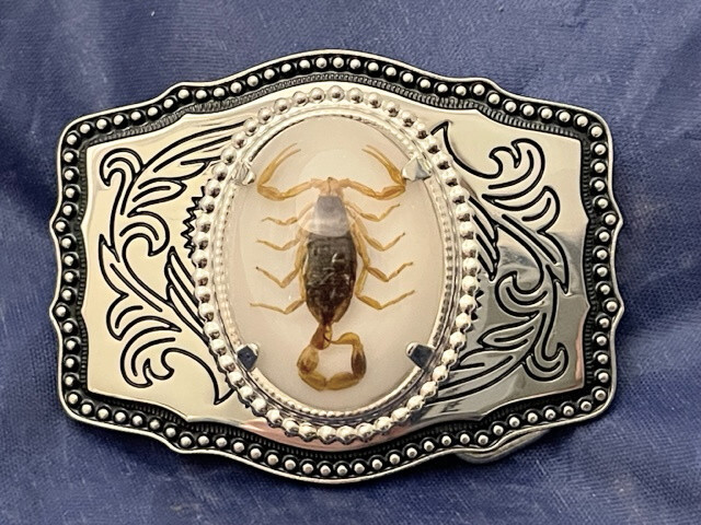 小物 rare LGB Real Scorpion Belt Buckle Real Scorpion Belt Buckle Solid, Great Quality (Silver tone