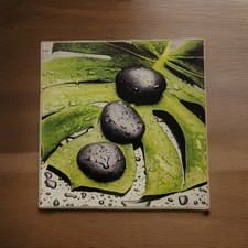 Deco Glass - Quadro In Vetro Misura 20x20 - Decoro Casa - Sassi, Foglie,Rugiada