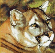 Cougar Cross Stitch Pattern Kustom Krafts JW-019 JW Baker Wildlife Art