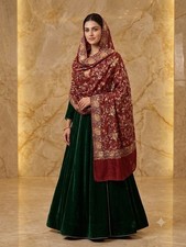 Beautiful soft organza dupatta