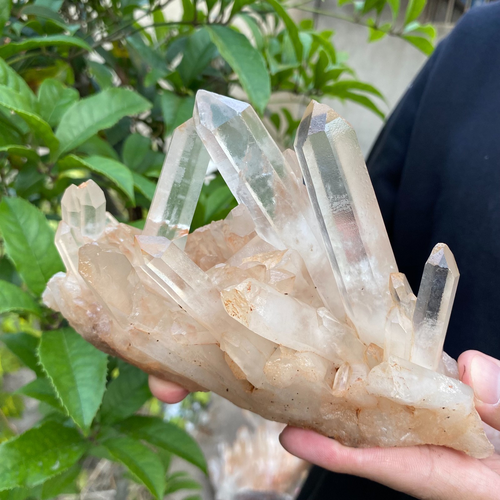 1.7lb Natural Clear White Crystal Quartz Cluster Rough Healing Specimen