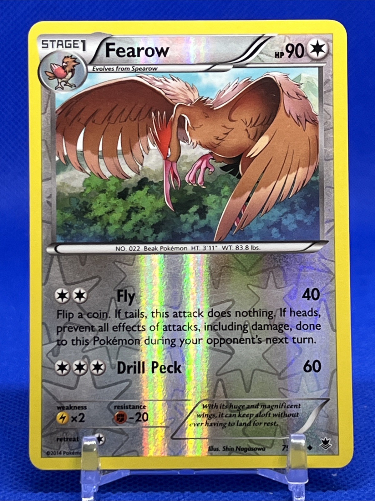 XY - Phantom Forces #79/119 Fearow NM Reverse Holo