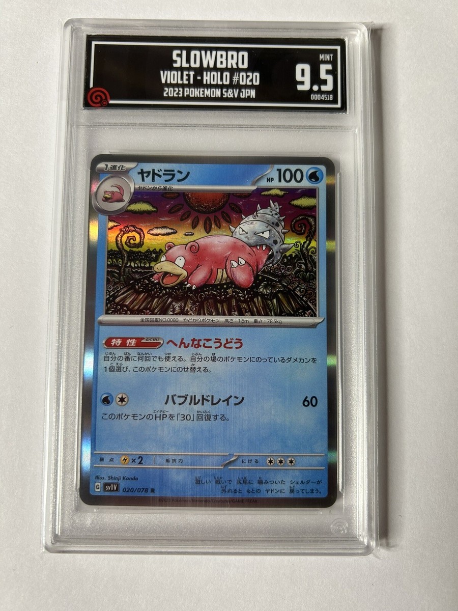 TCCG 9.5 PSA 10 Eq Slowbro R 20/78 SV1v Scarlet & Violet EX TCCG 9.5 PSA 10 Eq Slowbro R 20/78 SV1v Scarlet & Violet EX