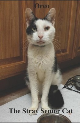 Oreo: Die streunende ältere Katze von O'Dell, Anthony [Taschenbuch]
