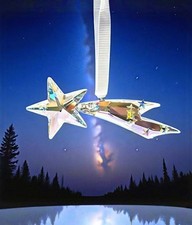 Swarovski Crystal HOLIDAY MAGIC SHOOTING STAR Ornament 5684557