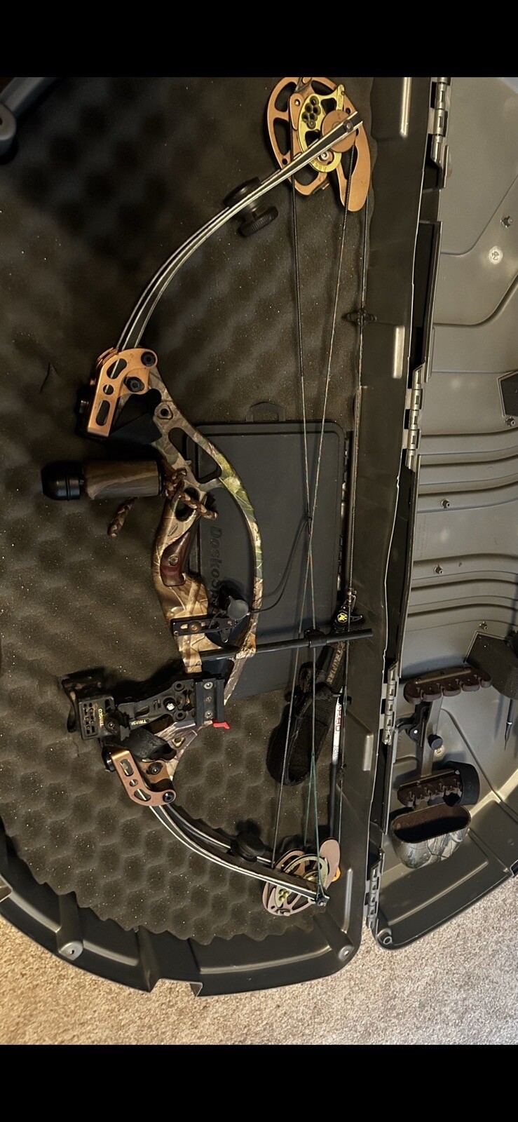 hoyt xt 2000 compound bow eBay