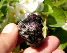 Rare Grenat dans Biotite 3cm Hamaroy Norvège minéraux collection lithothérapie