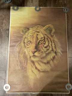 Poster Vintage 1973 "Il Re" Tigre 23 x 35 Floccato Poster di HipCo