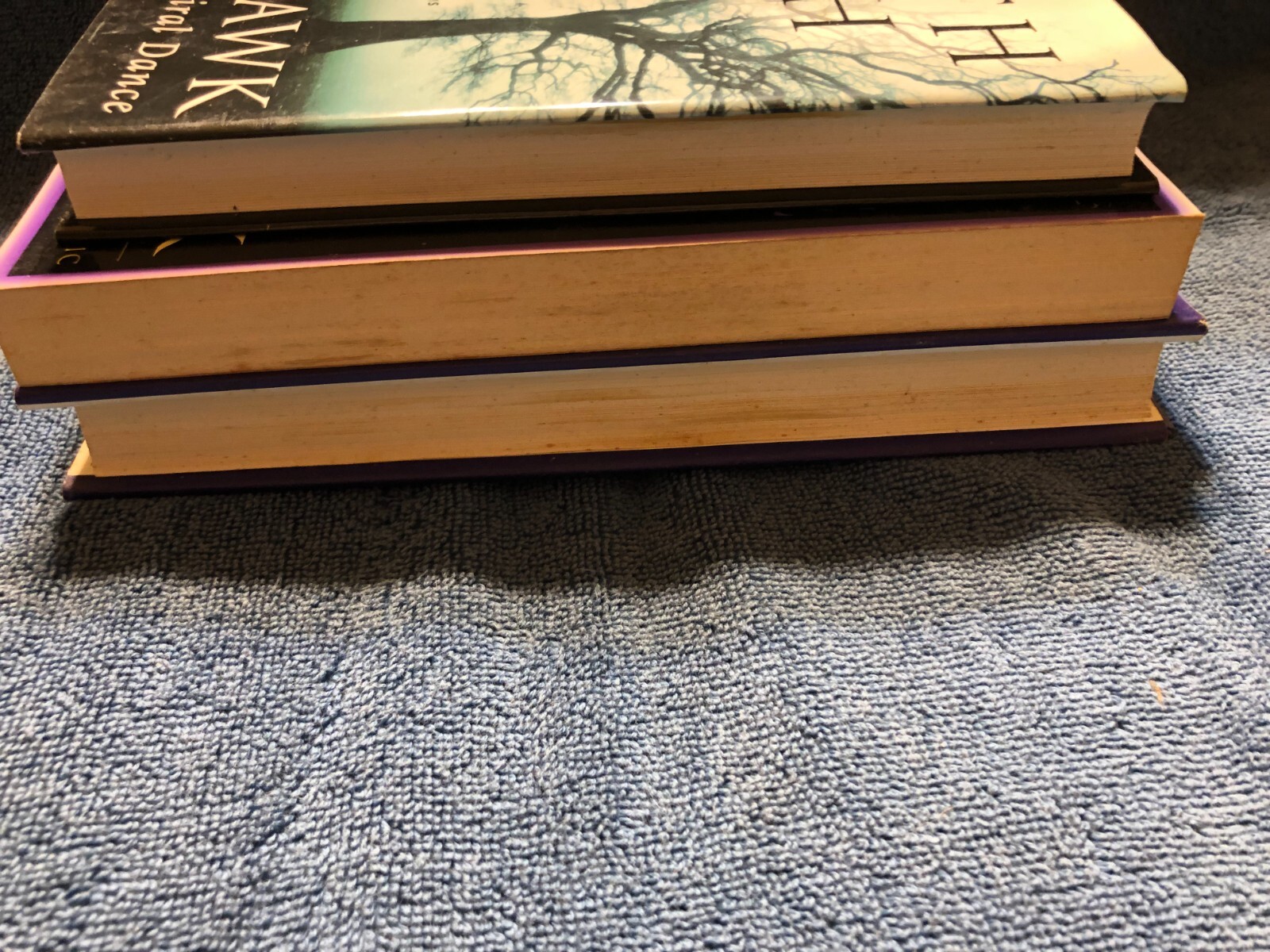 The Earth Path, The Spiral Dance & The Twelve Wild Swans by Starhawk eBay