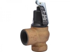 Cash Acme 19497-0030 F-95 x Iron Body Relief Valve with Lever Set