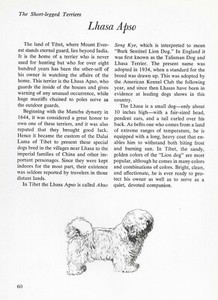 The Lhasa Apso - CUSTOM MATTED - Vintage Dog Art Print - "G"