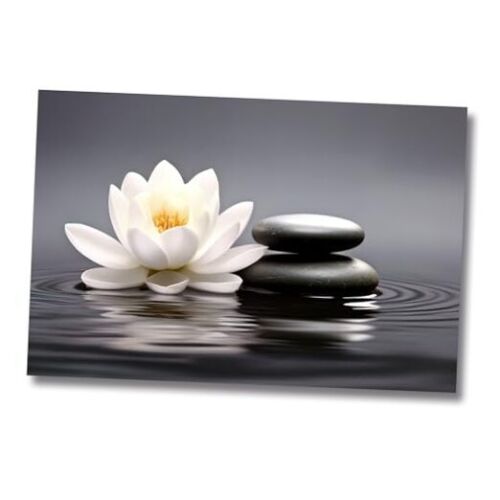 Pictures White Lotus Wall Art Water Lily Stone Water Canvas 12L" x 18W" Zen