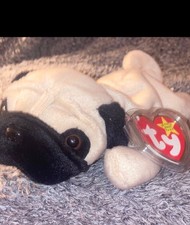 Ty Beanie Babies Pugsley The Pug With Swing Tags