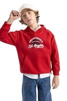 Jungen Sweatshirt Kapuzenpullover Defacto 140-146 Cm Blau Baumwolle Modell-Nr.